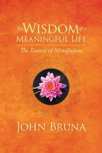 Wisdom of a Meaningful Life Cover