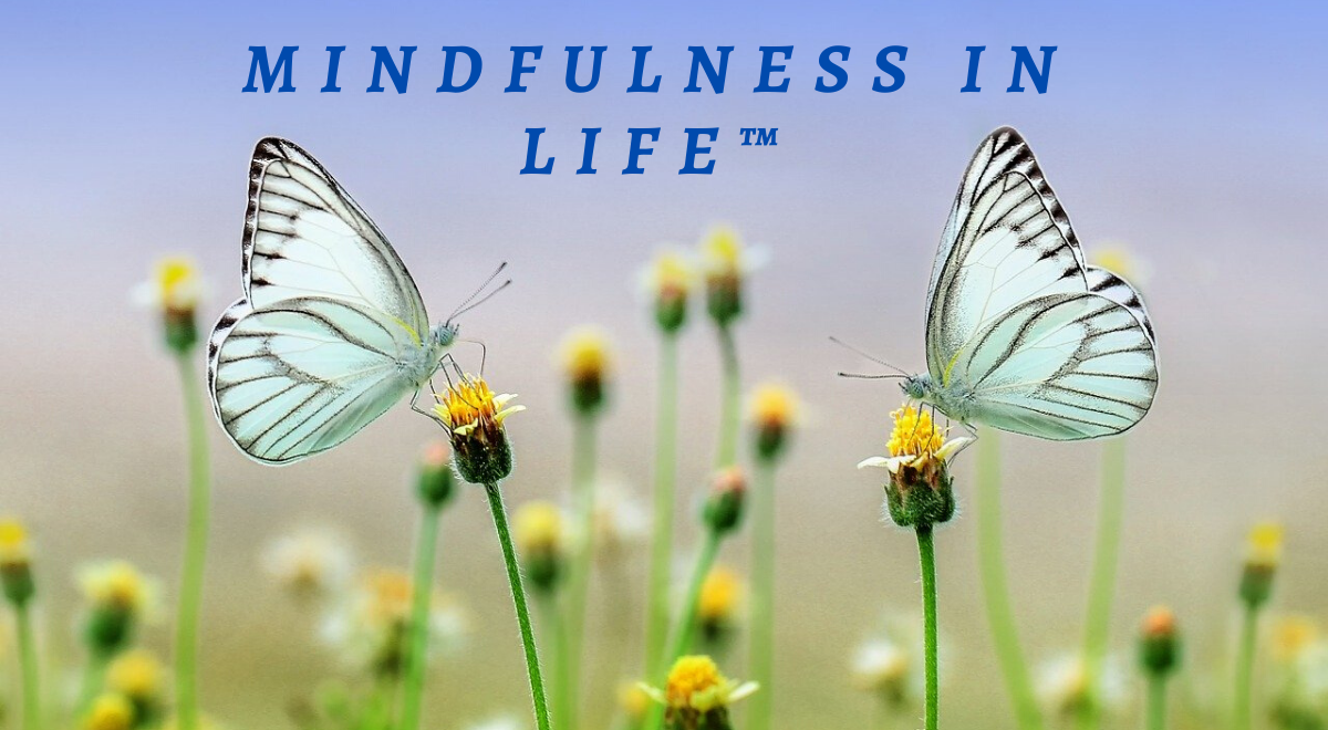 Mindfulness in Life Logo