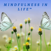 Mindfulness in Life™ Meeting
