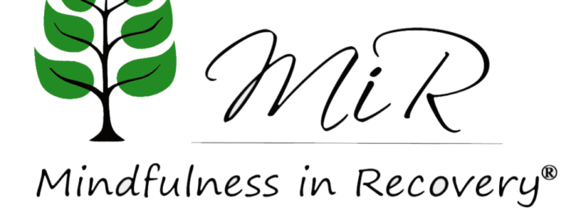 MIR Institute Logo