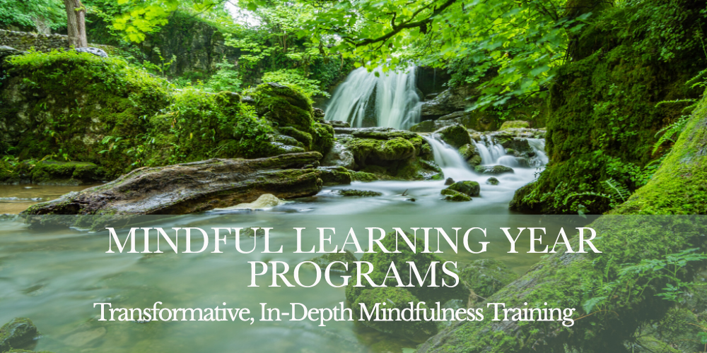 Mindful Learning Year Programs