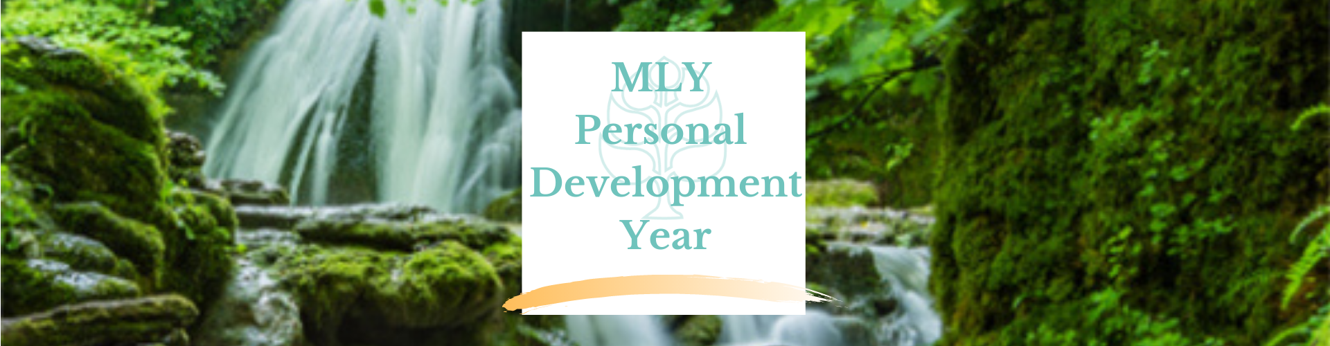 MLY Personal Development Year