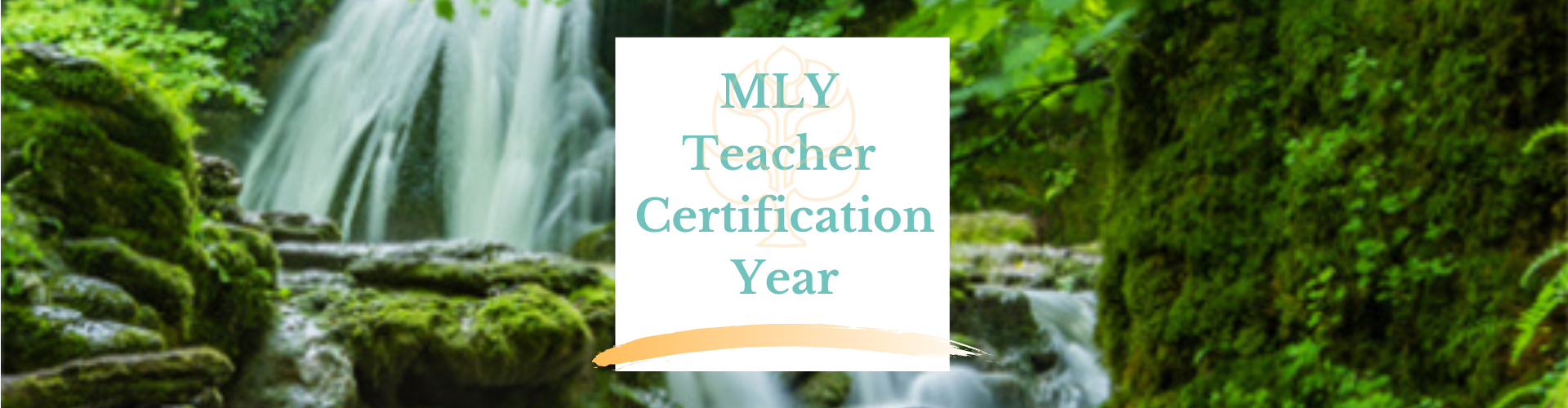 MLY Teacher Certification