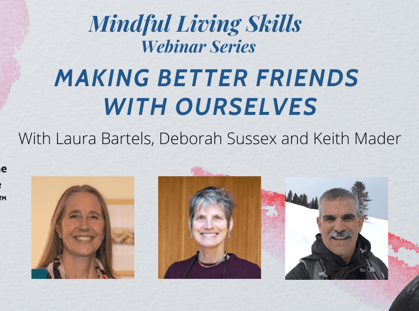 Making Better Friends With Ourselves Webinar